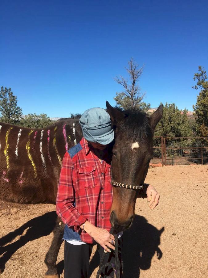 The Mountain Lion - Horses Sedona's Loved Farm stay